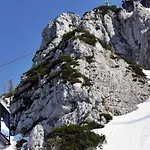 Garni Traunbachhaeusl Otel